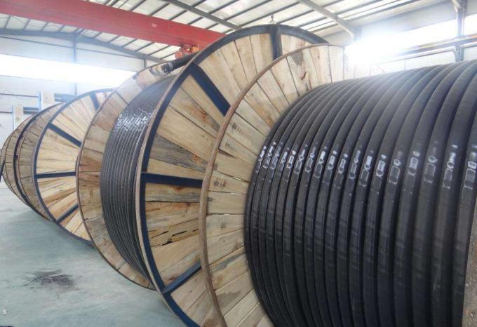 câble électrique de PVC